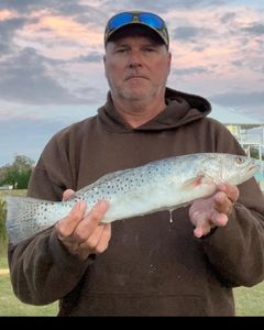 Sea Trout Bliss at Sunset