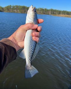 Scenic landscape of the picturesque NC region during a fishing trip