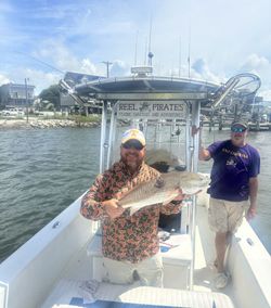 Redfish caught by two anglers at Cape Carteret