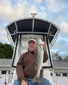 Spotted Weakfish, 25 inches long, caught while fishing in Cape Carteret