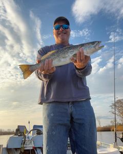 Spotted Weakfish, 25 inches, caught fishing in NC
