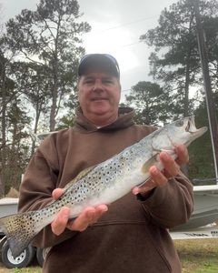 Photo of a spotted weakfish, a 22-inch fishing catch in NC.