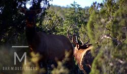 Adventurous hunting in Arizona