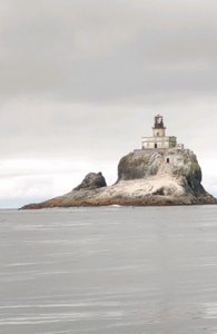 Angler fishing in Astoria
