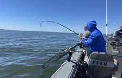 Best great fishing in OR