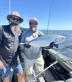 Chinook salmon caught by two people while fishing in Astoria