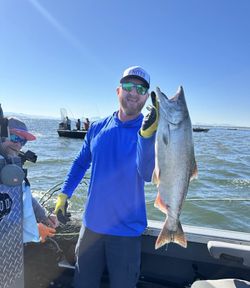 A person fishing for a pink salmon in Astoria