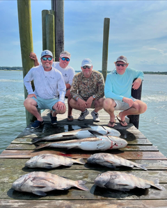 4 Black Drum fish caught in VA