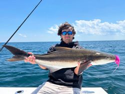 Cobia fish caught fishing in VA