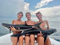 Two cobia caught on a fishing trip in VA