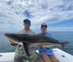 Cobia, a large saltwater fish, being caught in Virginia