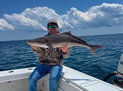 Cobia fish caught while fishing in VA