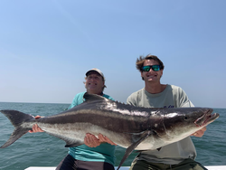 Cobia fish caught in Virginia Beach