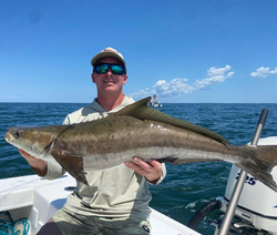 A cobia fish caught in Virginia Beach