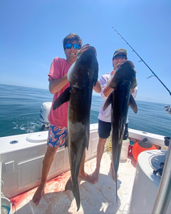 Two blue catfish and yellow bullhead, the largest measuring 51 inches, caught while fishing in Virginia