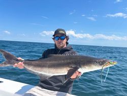 Cobia, a 44-inch fish, caught in VA