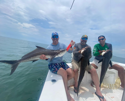 Three Cobia and Hardhead Sea Catfish caught in Virginia Beach