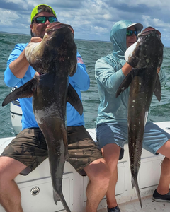 Two anglers with big fish in Virginia river