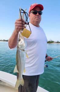 A single angler fishing in FL