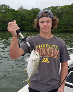 Crevalle jack catch displayed on fishing rod in Englewood FL waters