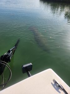 Fishing in FL