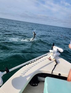Fishing adventure in FL