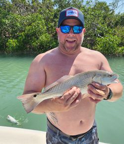 Redfish caught in Englewood