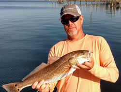 A single redfish caught in Englewood