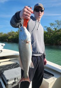 Redfish caught fishing in FL