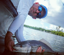 Redfish caught while fishing in FL