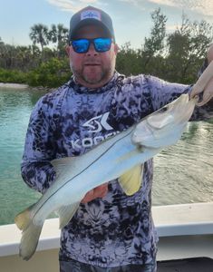 Snook fishing in Englewood