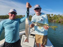 Two snook and redfish caught in Englewood, Florida while fishing