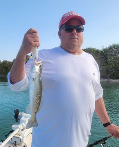 Spotted Weakfish caught during fishing trip in Englewood