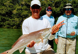 Best great fishing trio with large fish in FL