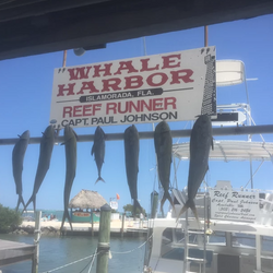 Islamorada Fishing Charters Offshore