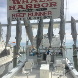 Deep Sea Fishing Charters Islamorada Fl