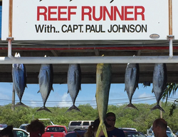 Best Fishing Guides In Islamorada