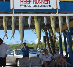 Islamorada Reef Fishing