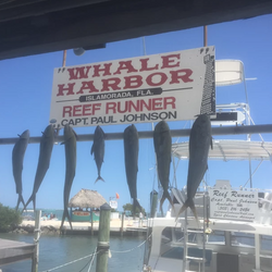 7 fishing in FL