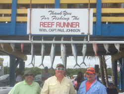 7 great barracuda fish caught while fishing in Islamorada