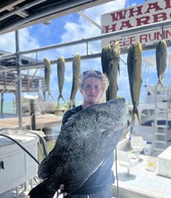 Six fish caught while fishing in Islamorada