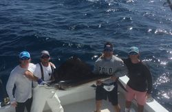 Atlantic sailfish catch on fishing boat in Islamorada FL waters