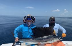 Atlantic Sailfish caught during deep sea fishing charter in Islamorada FL