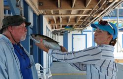 Blackfin tuna caught fishing in Islamorada FL