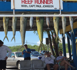 Cero Mackerel, Blue Runner, and Great Barracuda caught in FL
