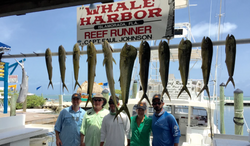 9 cero mackerel fish caught in Islamorada