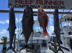 4 fish caught in FL while fishing