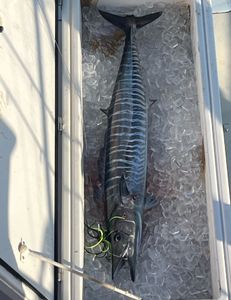 Angler holds a fishing rod in Florida