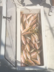 Fishing adventure in FL