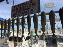 9 fishing in Islamorada